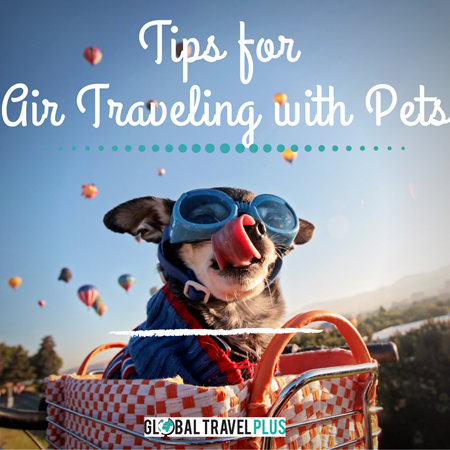 GTP-Airtravel-with-Pets-(1).png